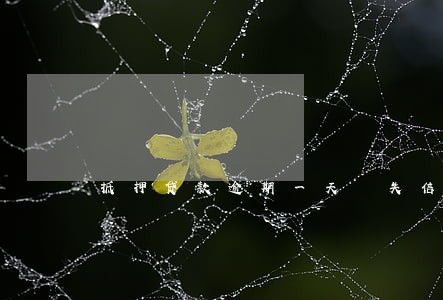 抵押贷款逾期一天 失信 抵押贷款逾期一天 失信